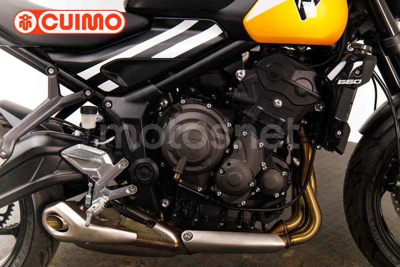 Triumph Trident 660 - Vista 15