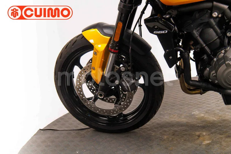 Triumph Trident 660 - Vista 20