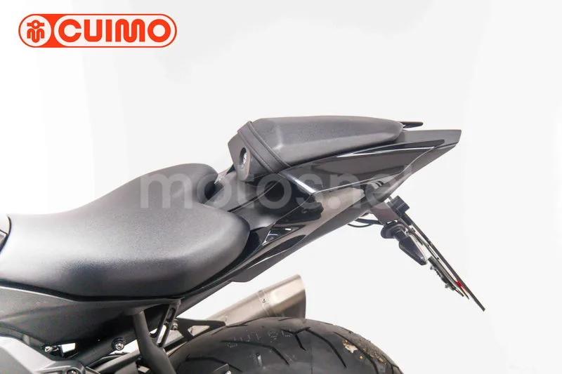 Yamaha YZF-R7 - Vista 22
