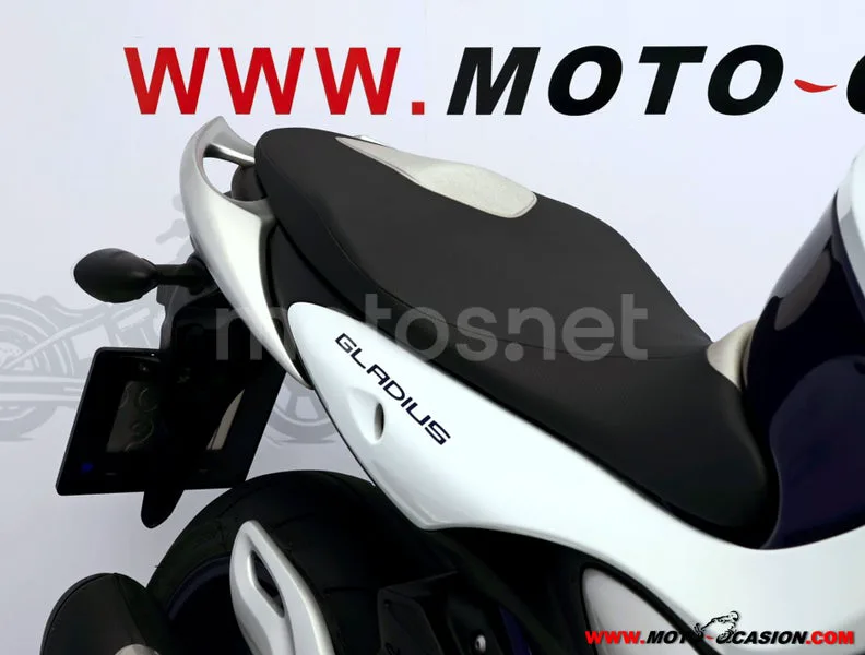 Suzuki Gladius 650 - Vista 11