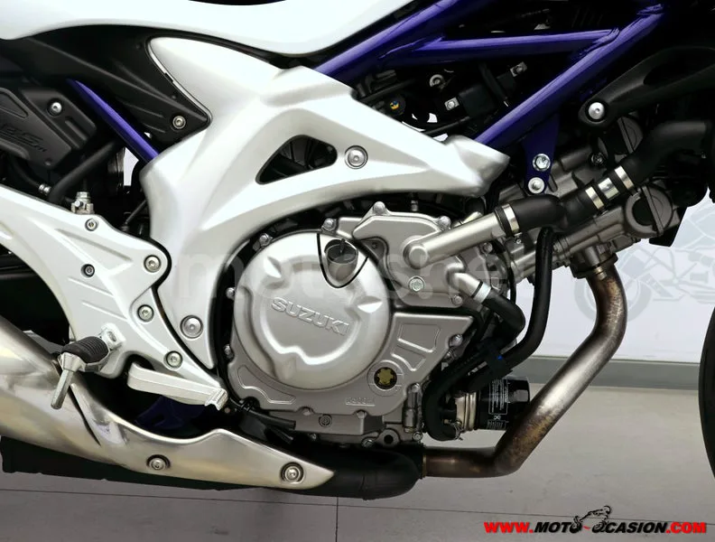 Suzuki Gladius 650 - Vista 5