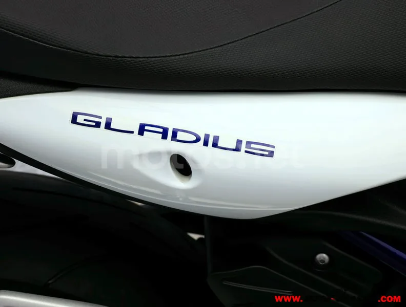 Suzuki Gladius 650 - Vista 9