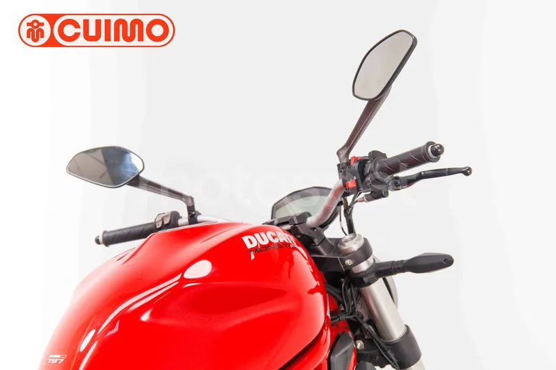 Ducati Monster 797 - Vista 18