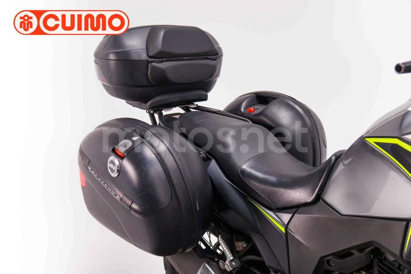 Kawasaki Versys-X 300 - Vista 12