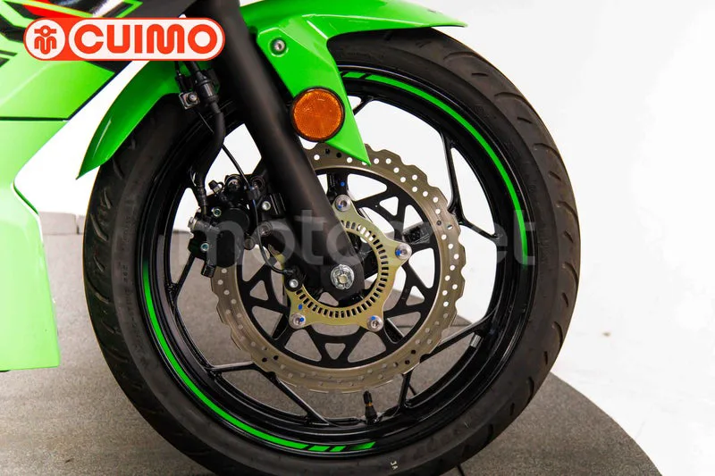 Kawasaki Ninja 125 - Vista 14