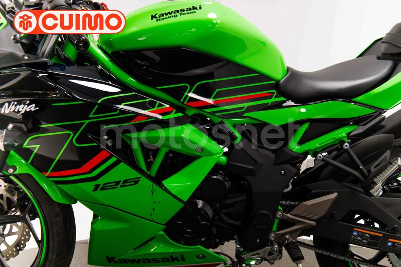 Kawasaki Ninja 125 - Vista 24