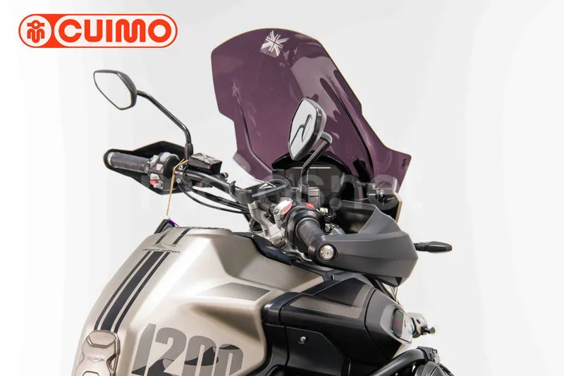Triumph Tiger 1200 - Vista 18