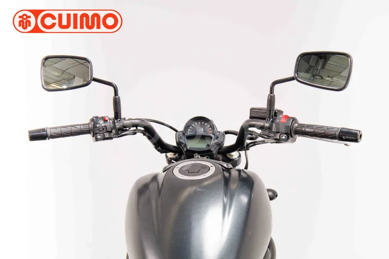 Kawasaki Vulcan S - Vista 17