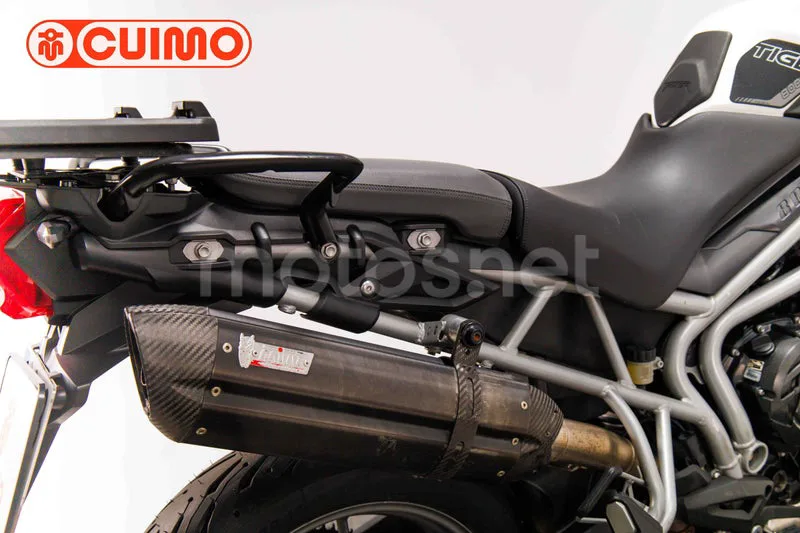 Triumph Tiger 800 - Vista 16