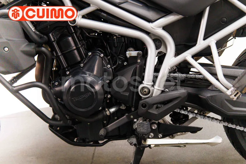 Triumph Tiger 800 - Vista 19