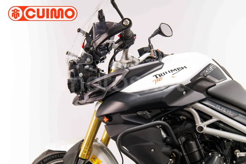 Triumph Tiger 800 - Vista 20