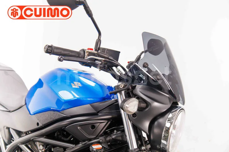 Suzuki SV650 - Vista 11