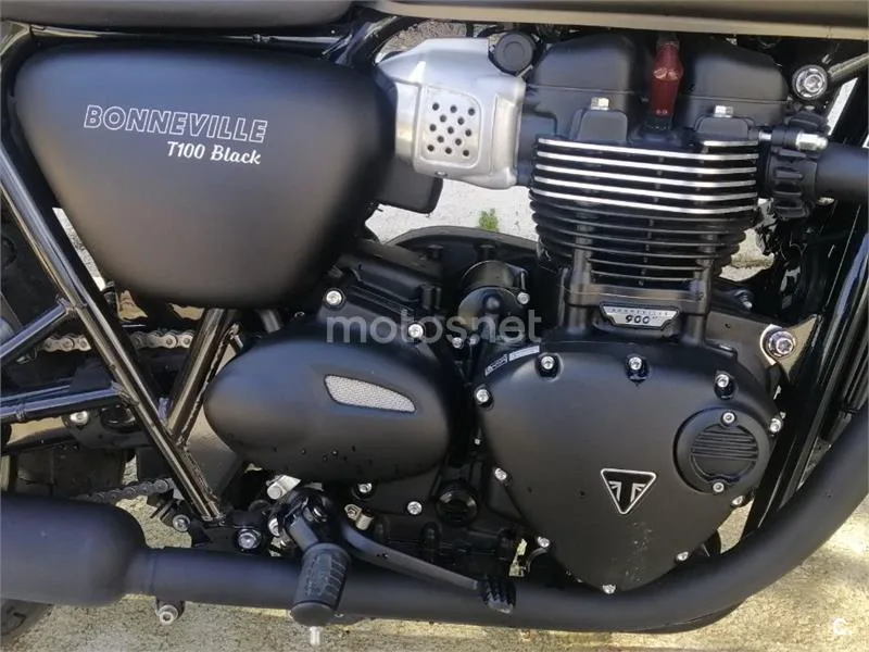 Triumph Bonneville T100 - Vista 3