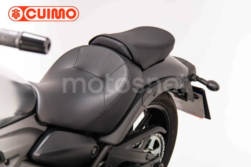 Kawasaki Vulcan S - Vista 23