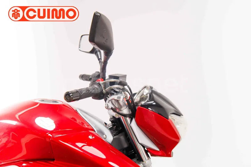 Suzuki Inazuma 250 - Vista 13