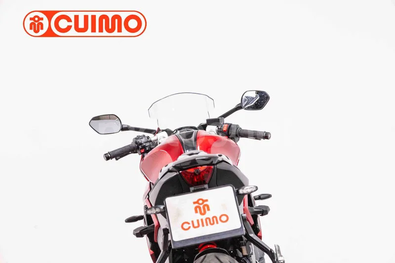 Triumph Daytona 660 - Vista 12