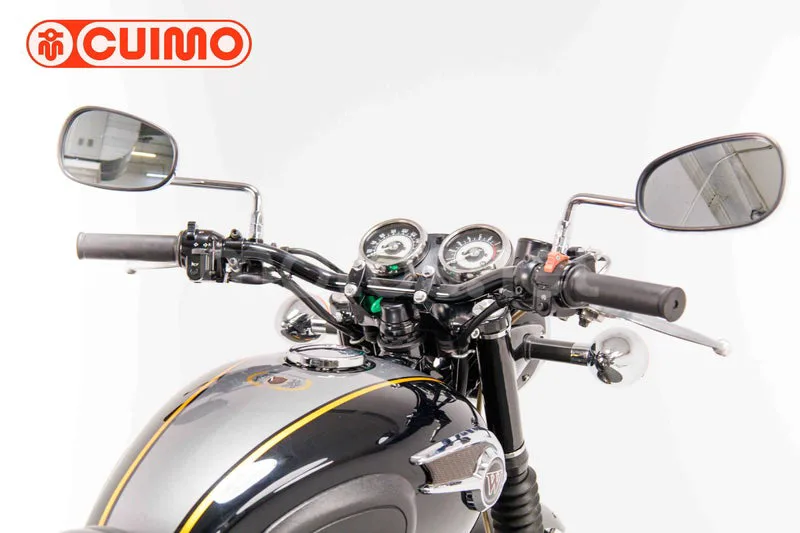 Kawasaki W800 SP - Vista 15