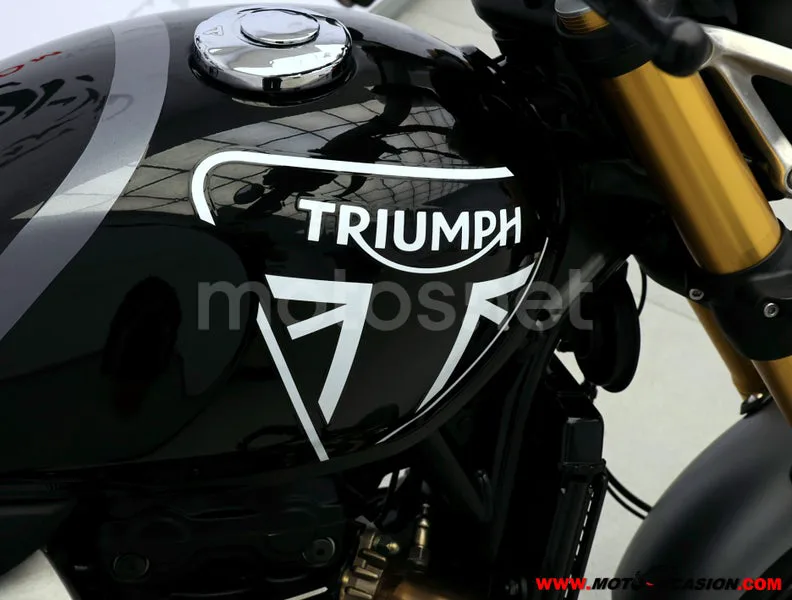 Triumph Speed 400 - Vista 9