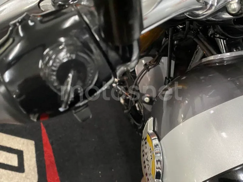 Royal Enfield Bear 650 - Vista 18