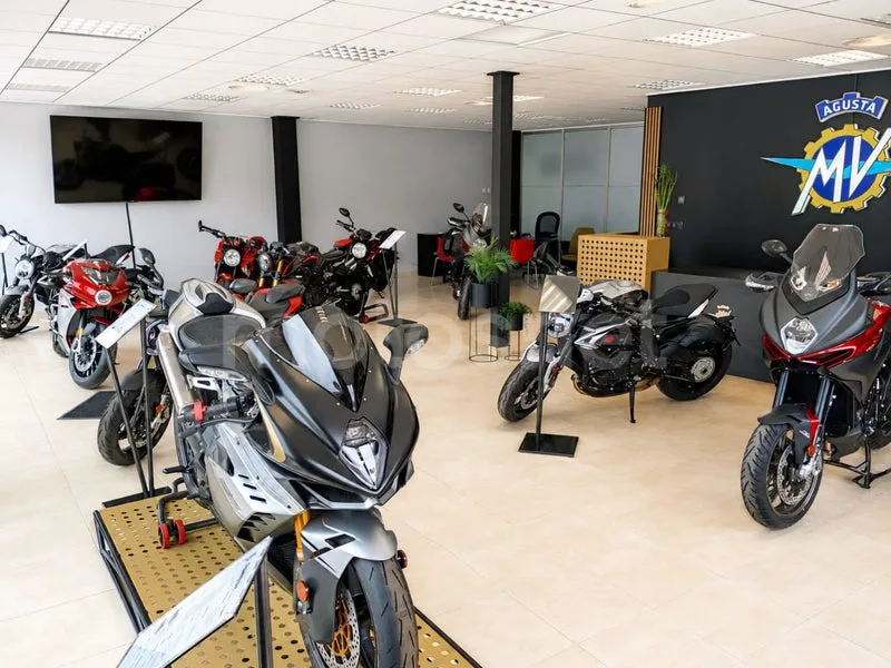 Ducati Monster 821 - Vista 14