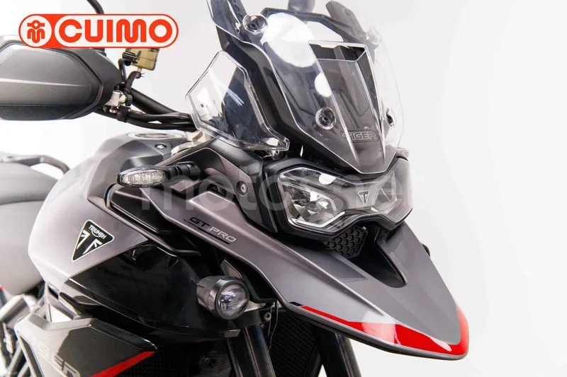 Triumph Tiger 900 - Vista 12