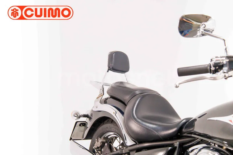 Kawasaki VN900 Classic - Vista 12
