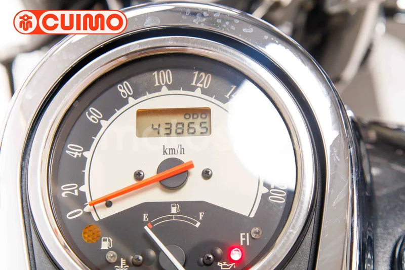 Kawasaki VN900 Classic - Vista 27