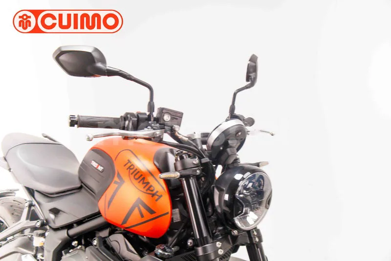 Triumph Trident 660 - Vista 11