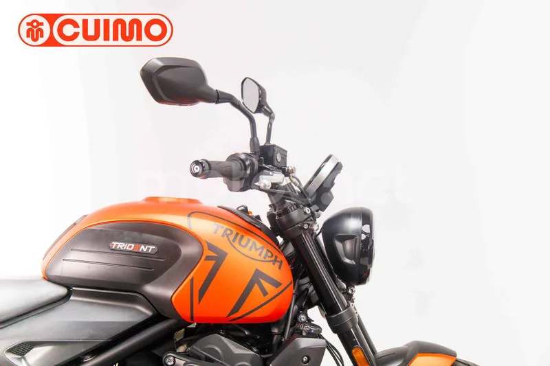 Triumph Trident 660 - Vista 13