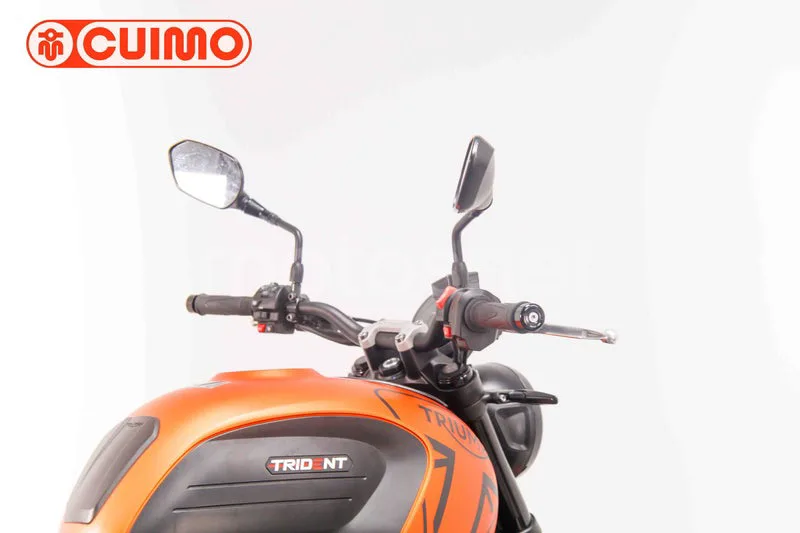 Triumph Trident 660 - Vista 18