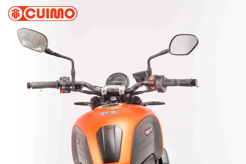 Triumph Trident 660 - Vista 20