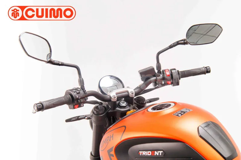 Triumph Trident 660 - Vista 22