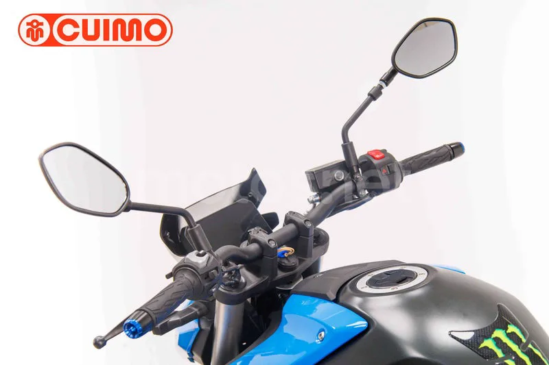 Suzuki GSX-8S - Vista 21