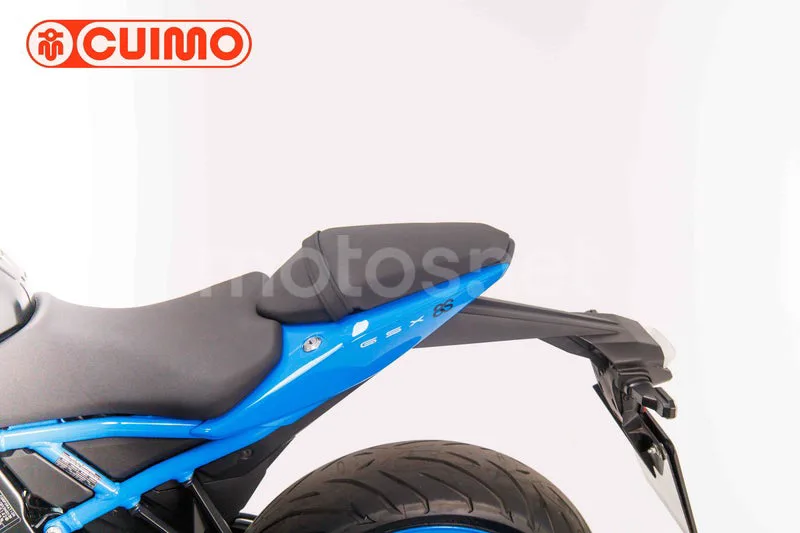 Suzuki GSX-8S - Vista 22