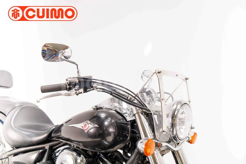 Kawasaki VN900 Classic - Vista 11