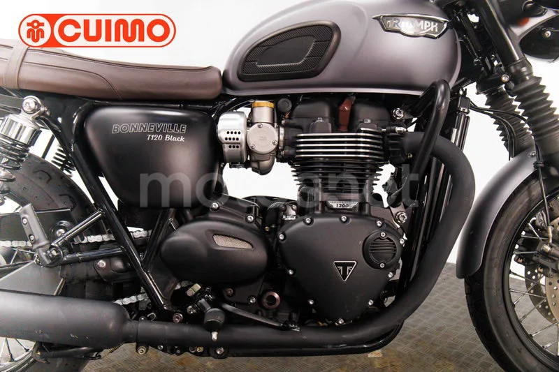 Triumph Bonneville T120 - Vista 20