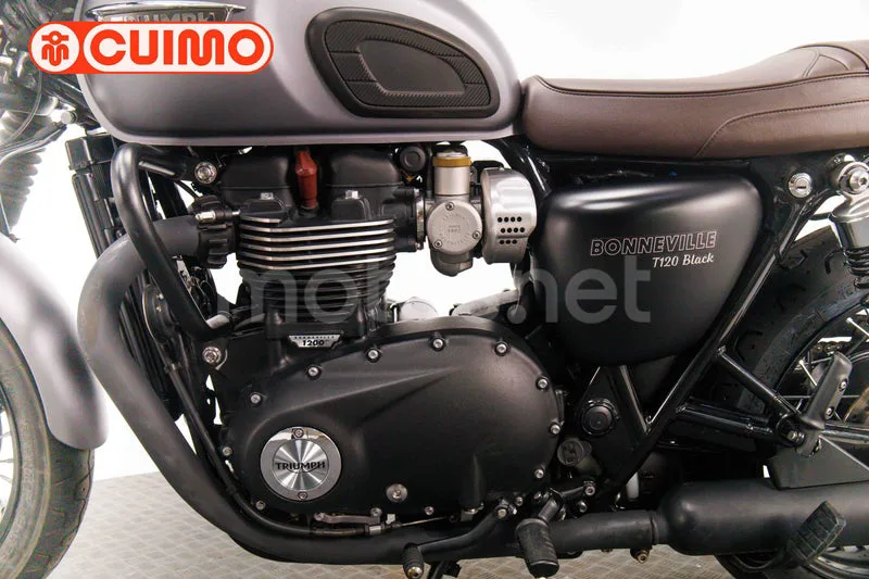 Triumph Bonneville T120 - Vista 37