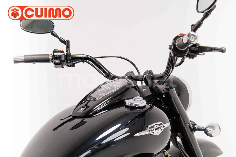 Suzuki Intruder C800 - Vista 15