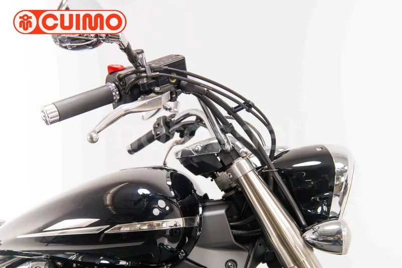 Yamaha XVS1300A Midnight Star - Vista 26