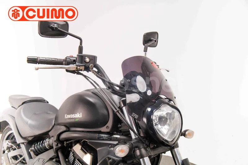 Kawasaki Vulcan S - Vista 12