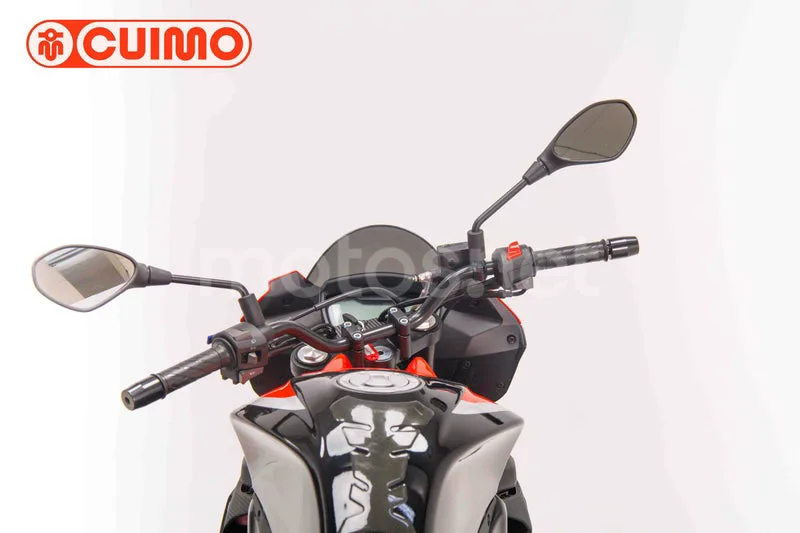Aprilia Tuono 125 - Vista 20
