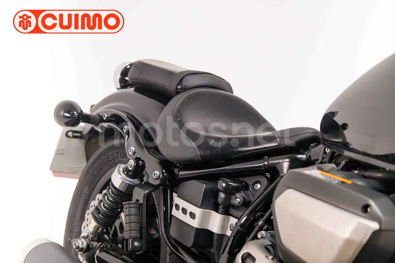Yamaha XV950 - Vista 13