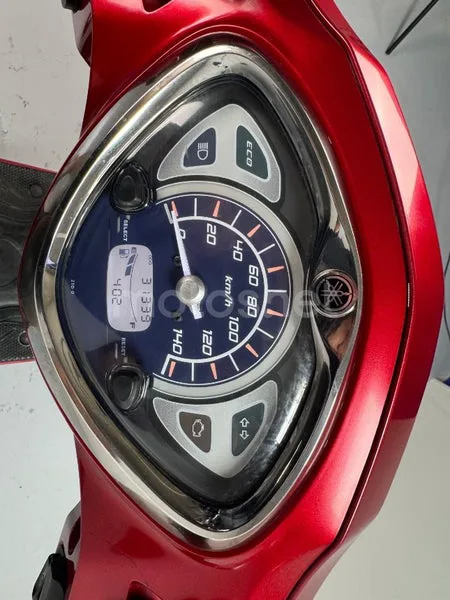Yamaha D'elight - Vista 13