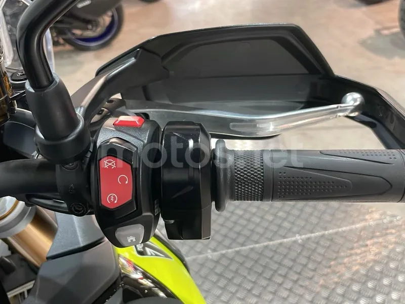 Triumph Tiger 900 - Vista 14