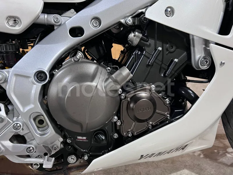 Yamaha XSR900 GP - Vista 24