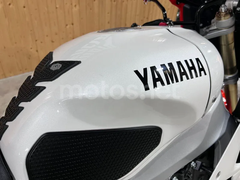 Yamaha XSR900 GP - Vista 26