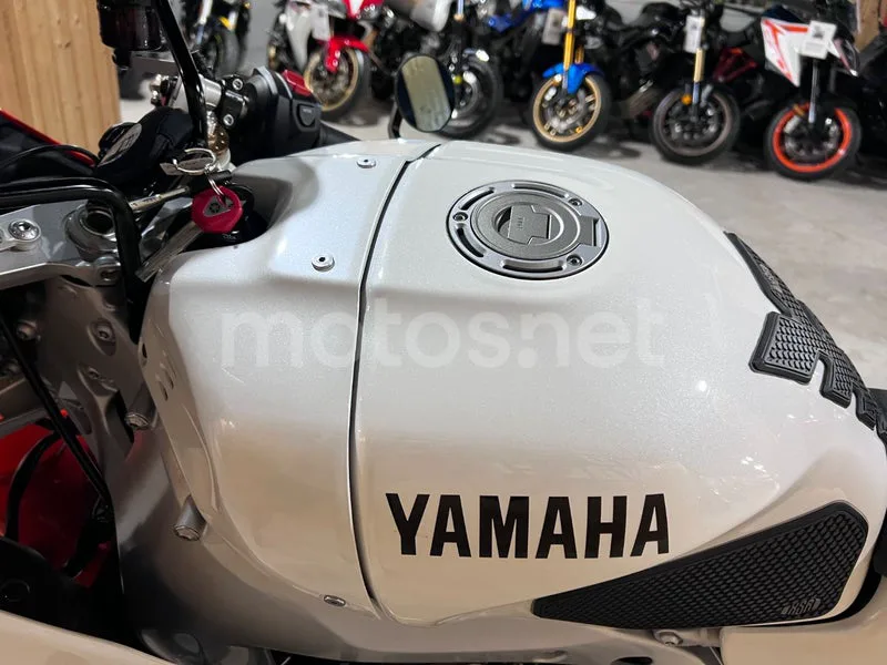 Yamaha XSR900 GP - Vista 52