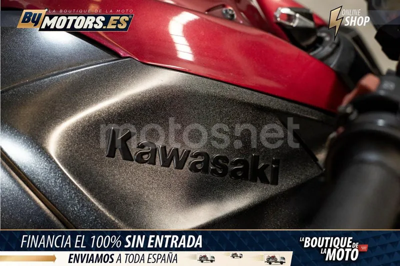 Kawasaki Z1000 - Vista 15