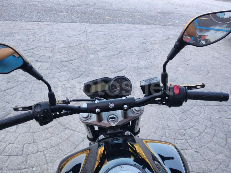 Yamaha FZ6 S2 - Vista 10