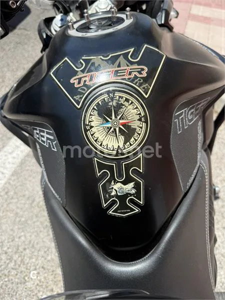 Triumph Tiger 800 XRT - Vista 9